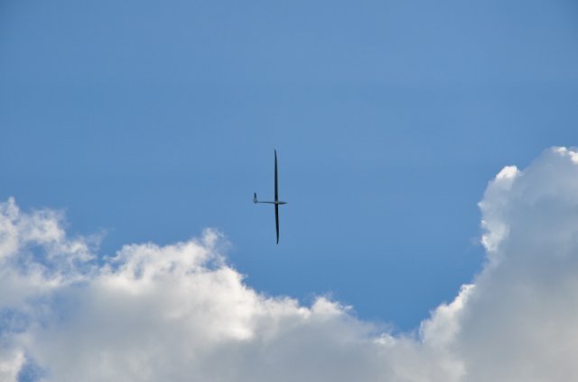DSC_0772 (800x531)